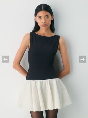 Aritzia Babaton Segment Poplin Dress